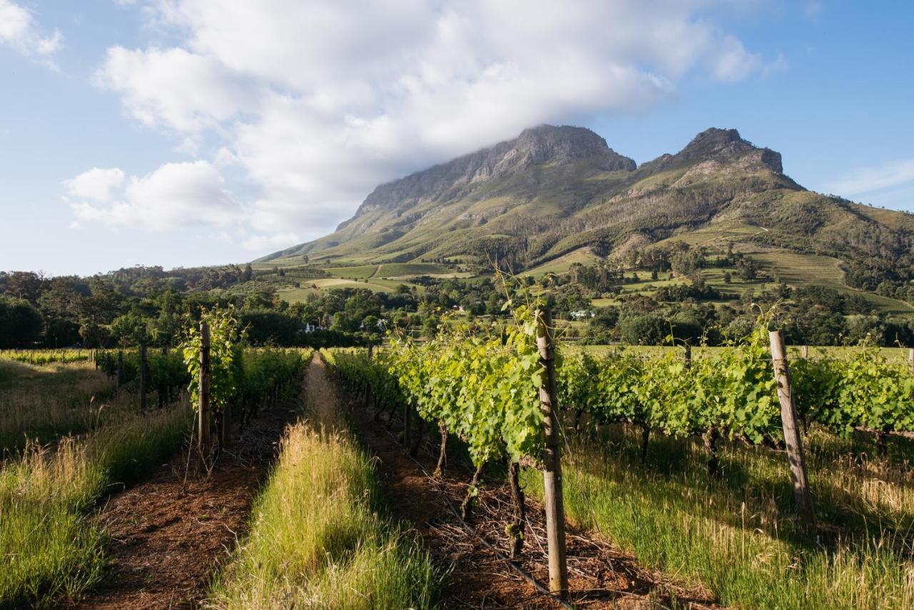 Banhoek Lodge Stellenbosch Eksteriør bilde