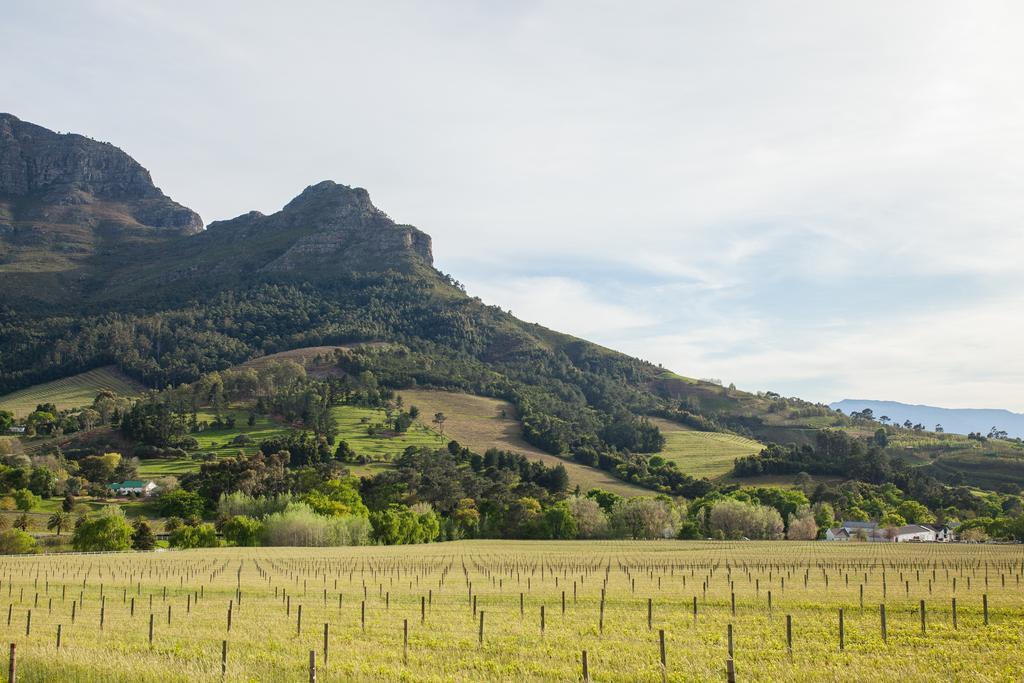Banhoek Lodge Stellenbosch Eksteriør bilde